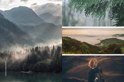 Portfolio fotograficzne