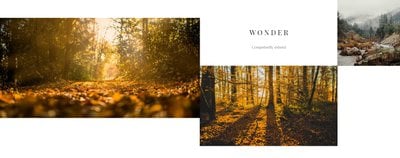 Portfolio Fotografa