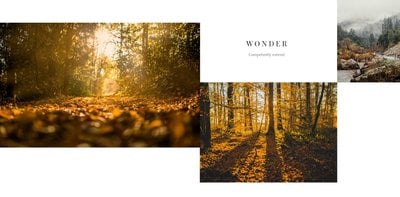 Portfolio Fotografa