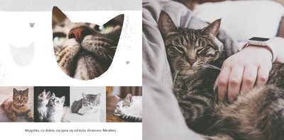 Koci album