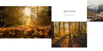 Portfolio Fotografa