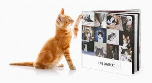 Album ze zdjęciami kotów