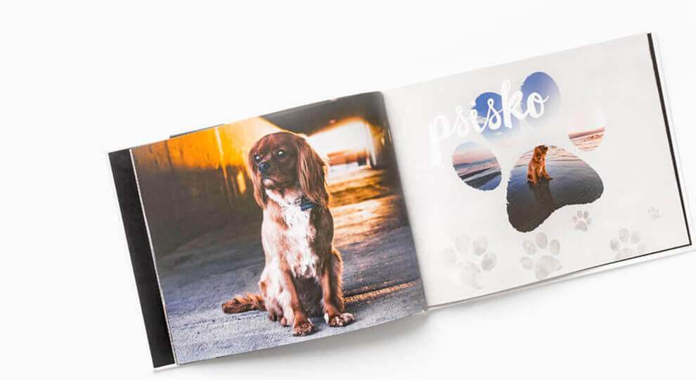 Album ze zdjęciami psów
